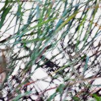 at the riverside | 2010