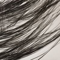 spiegelungen 2 | 2015