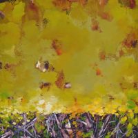 ein sommer lang | 80 x 80cm | 2015 (verkauft)