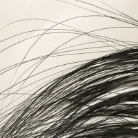 spiegelungen 1 | 2015